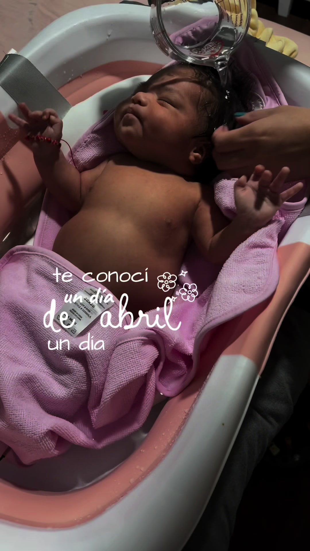 @Carola Alcalá 🎀🩷