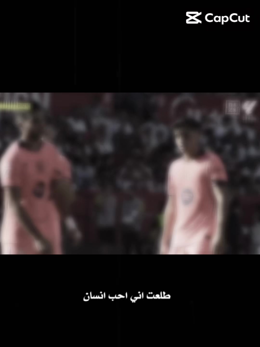 @lamina6606