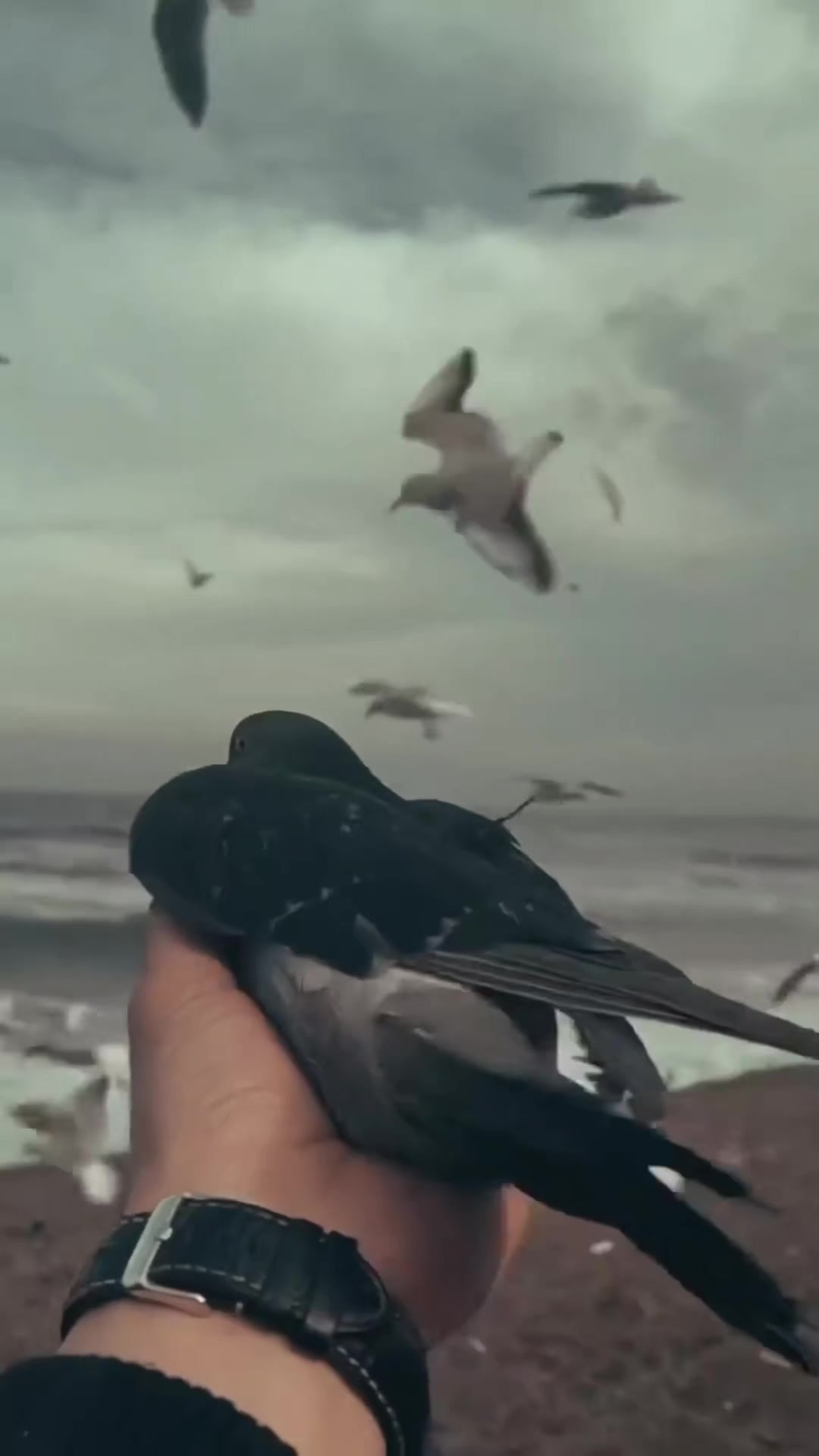 @𝗠𝗔𝗛𝗠𝗢𝗢𝗗𝗠𝗨𝗝𝗧𝗛𝗔𝗕𝗔