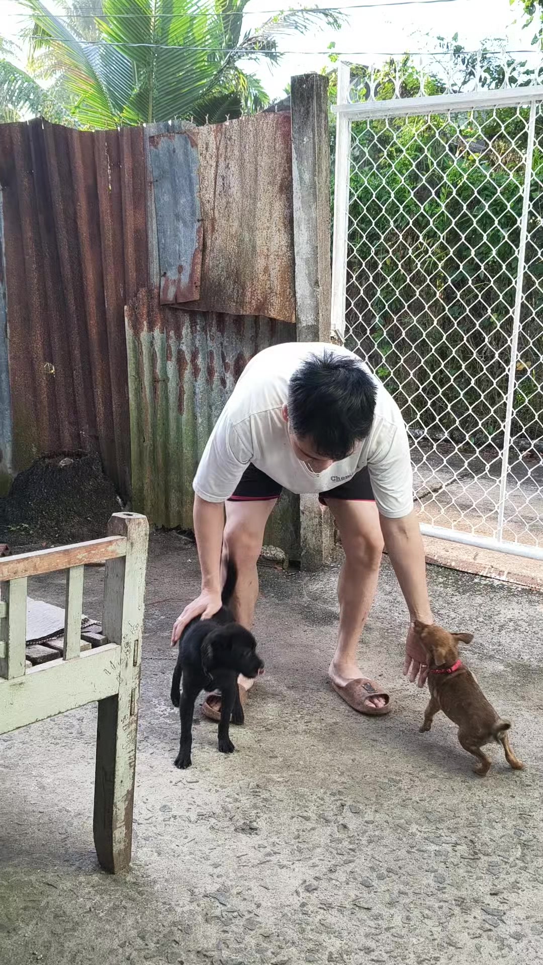 @Na sắp ba nhăm chủi