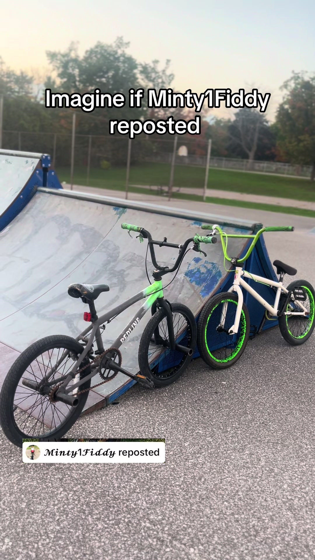 @𝓜𝓲𝓷𝓽𝔂1𝓕𝓲𝓭𝓭𝔂