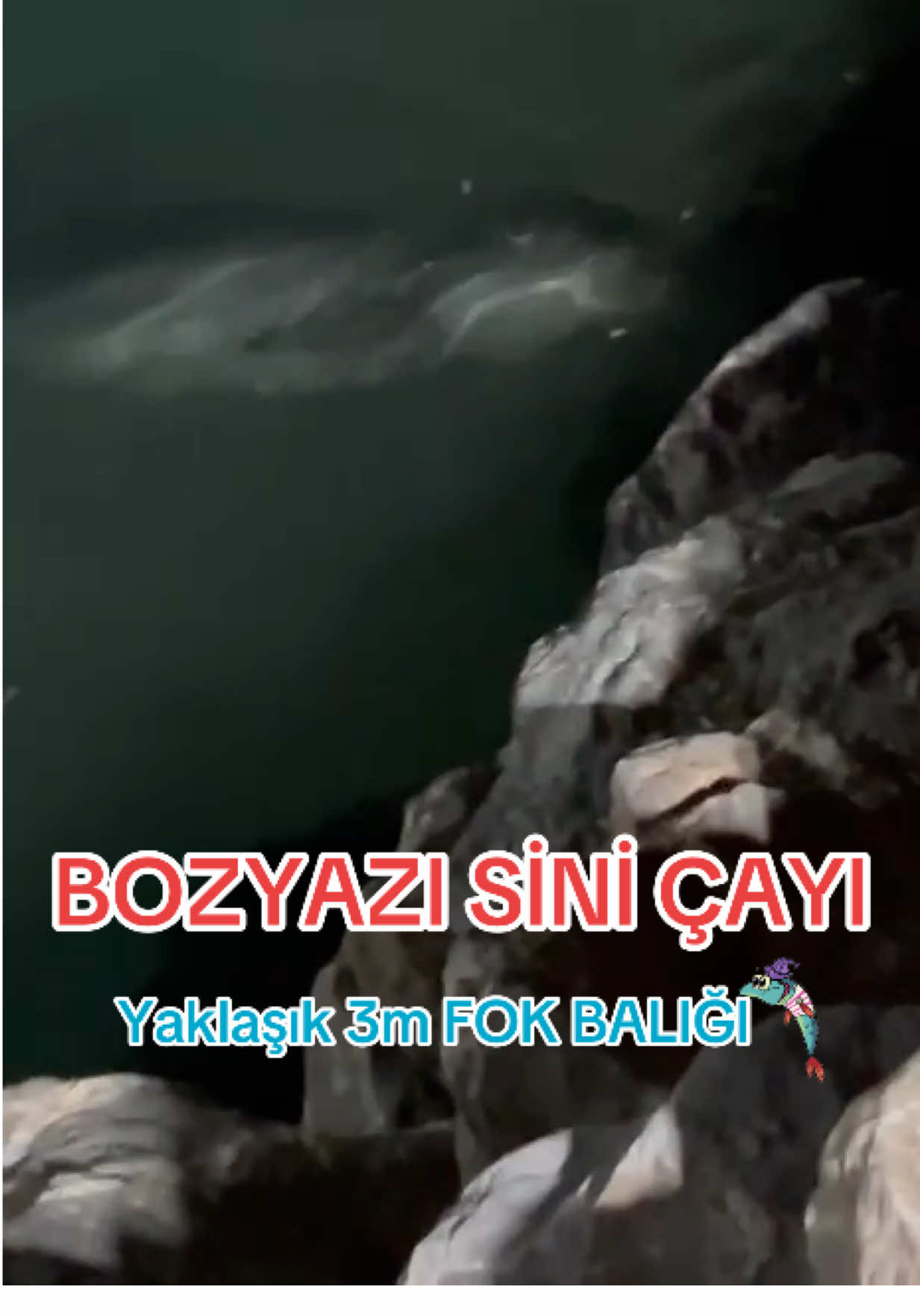 @Berhan Şimşekk