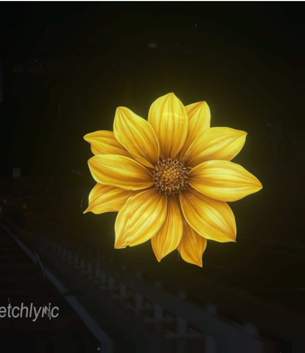 @sketchlyric🎧