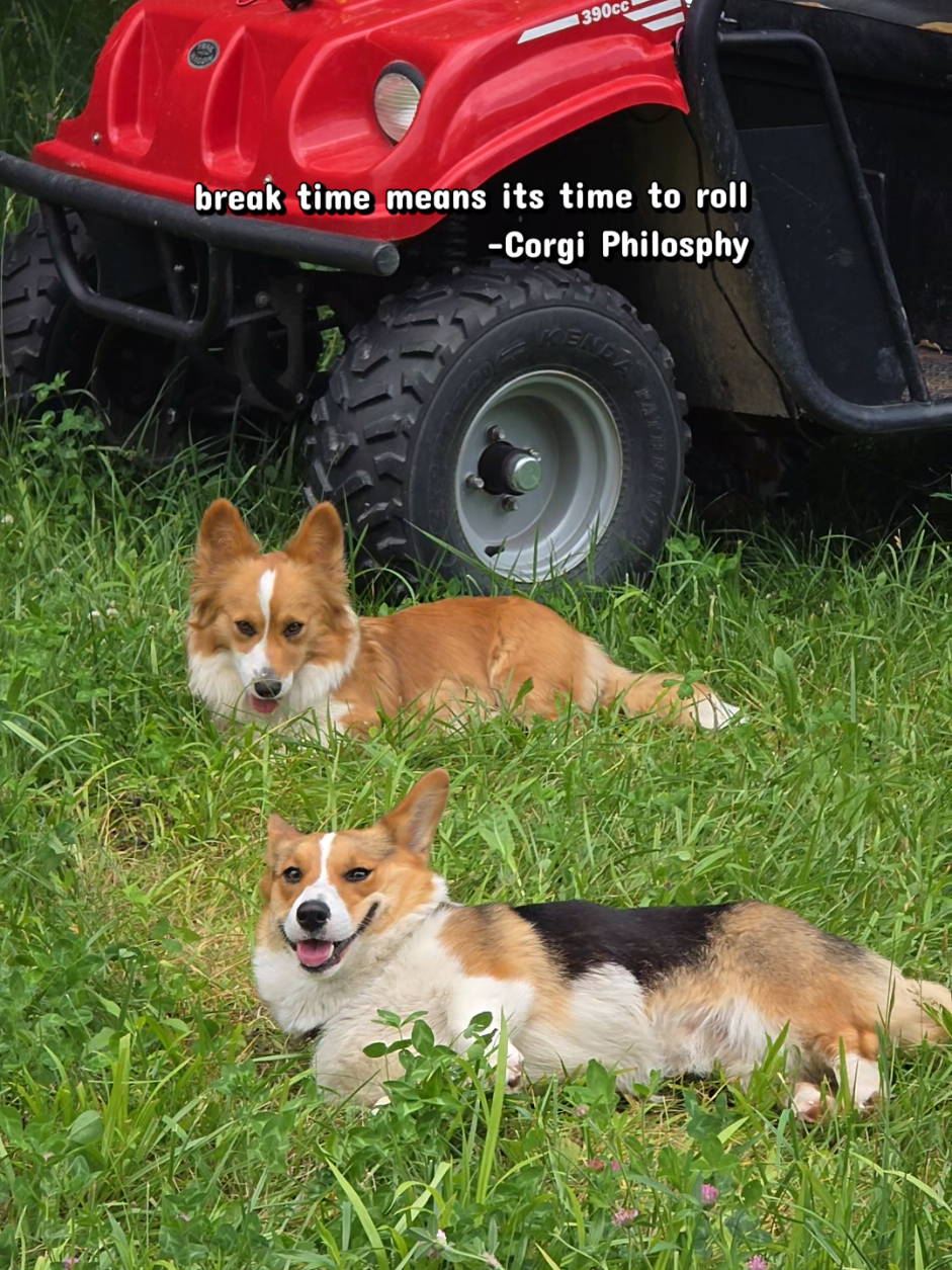 @Farmer Jake