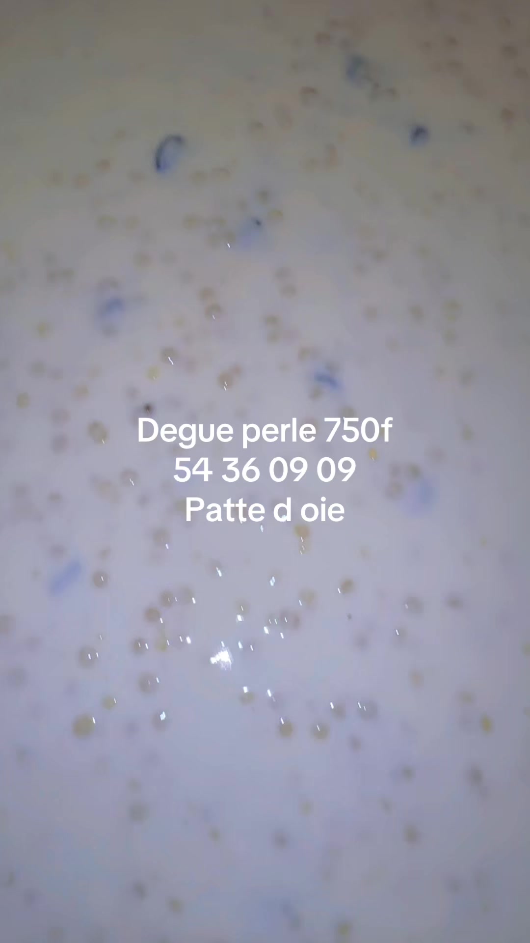 @Petit Prix Delice/Danae christ