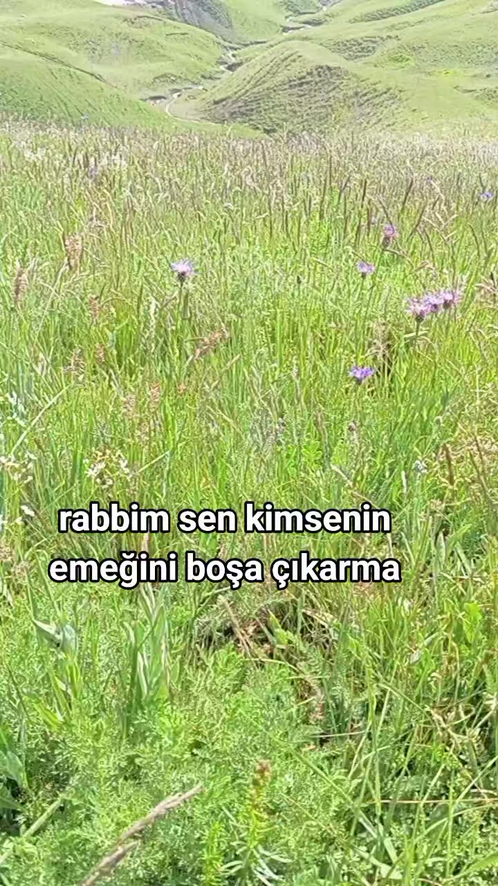 @🕊️AZAD CAN BAKIR 🕊️3636🕊️