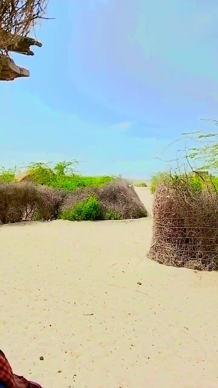 @فوزیا۔ ۔۔۔۔۔۔سومرو۔۔