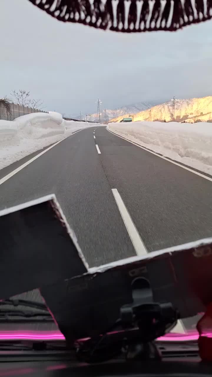 @とらのすけ🐯ᰍᩚ
