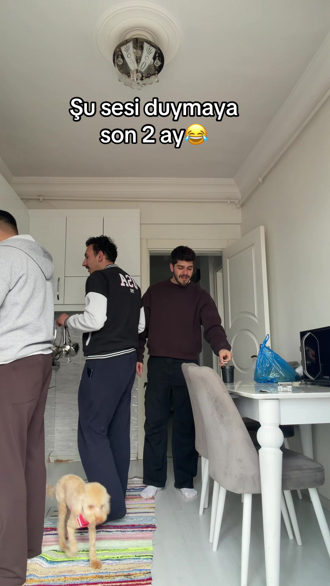 @huseyinkek3