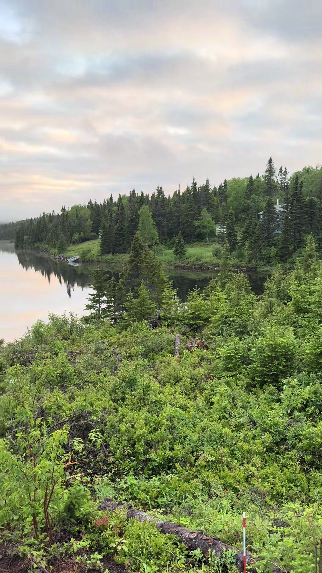 @Newfie on the Prairies
