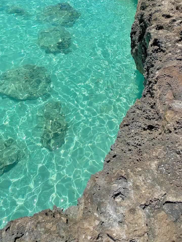 @𝘼𝙙𝙖🏝️