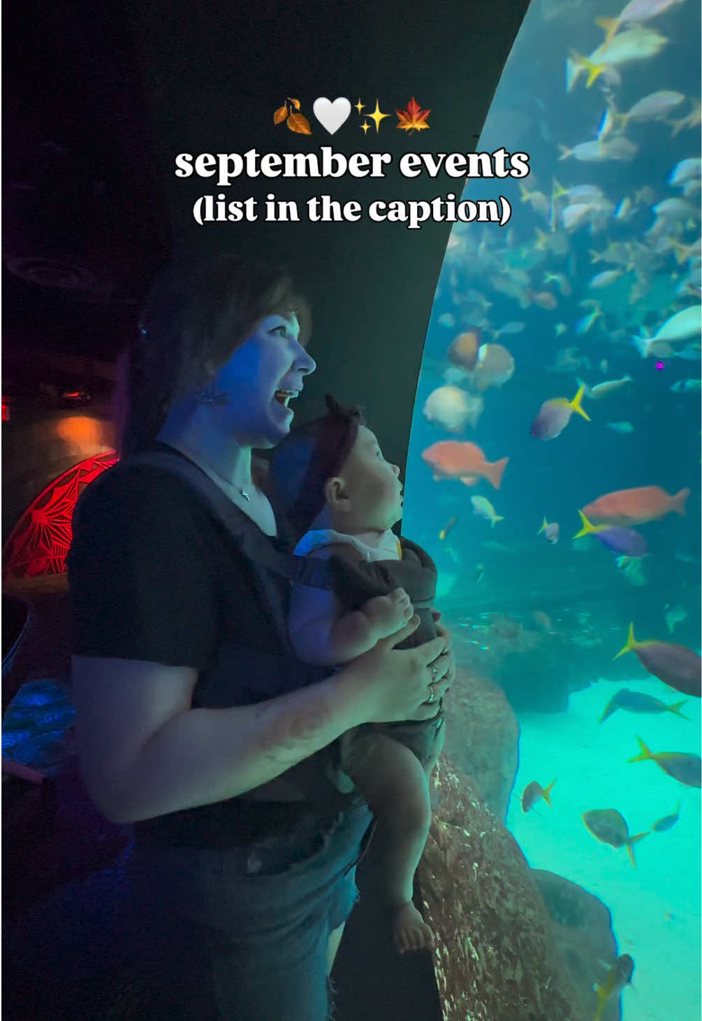 @The Florida Aquarium