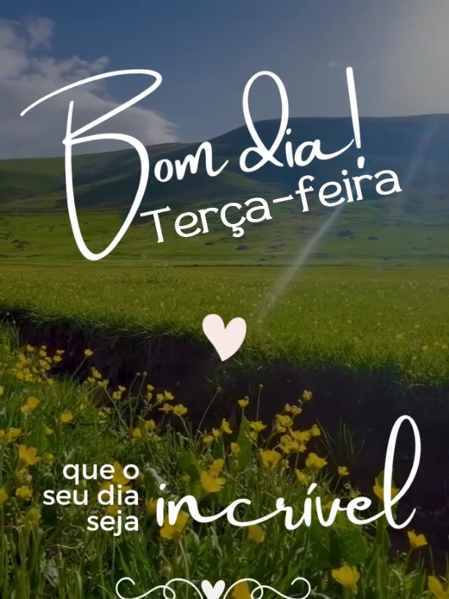 @J&uacute;nior Jardim