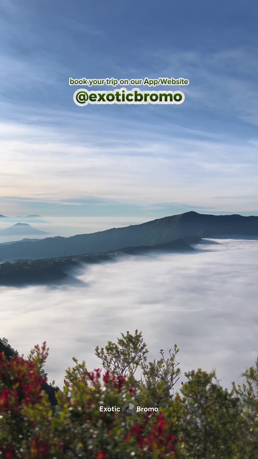 @Exotic Bromo