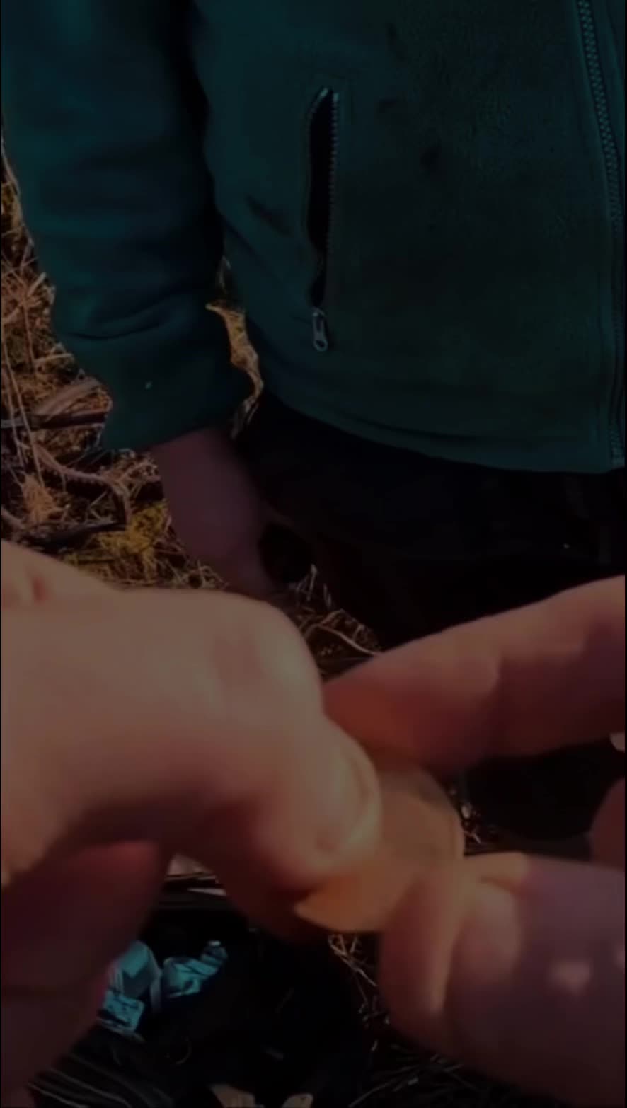 @Glasgow Detectorist