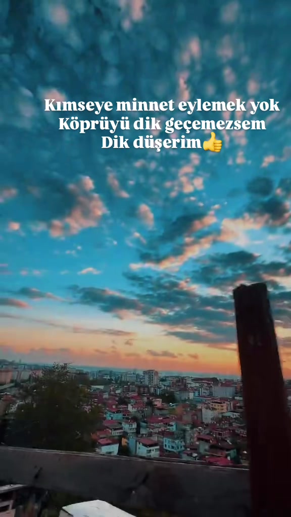 @Tonyali22.18.97