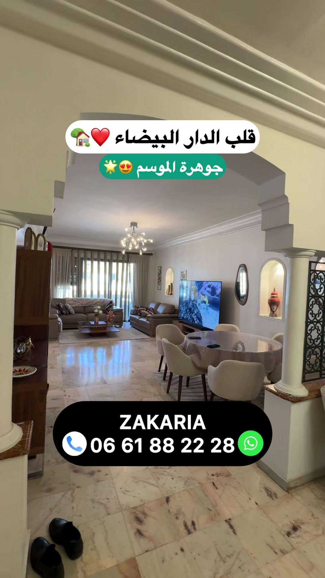 @Zakaria Haddad 🇲🇦🇵🇸