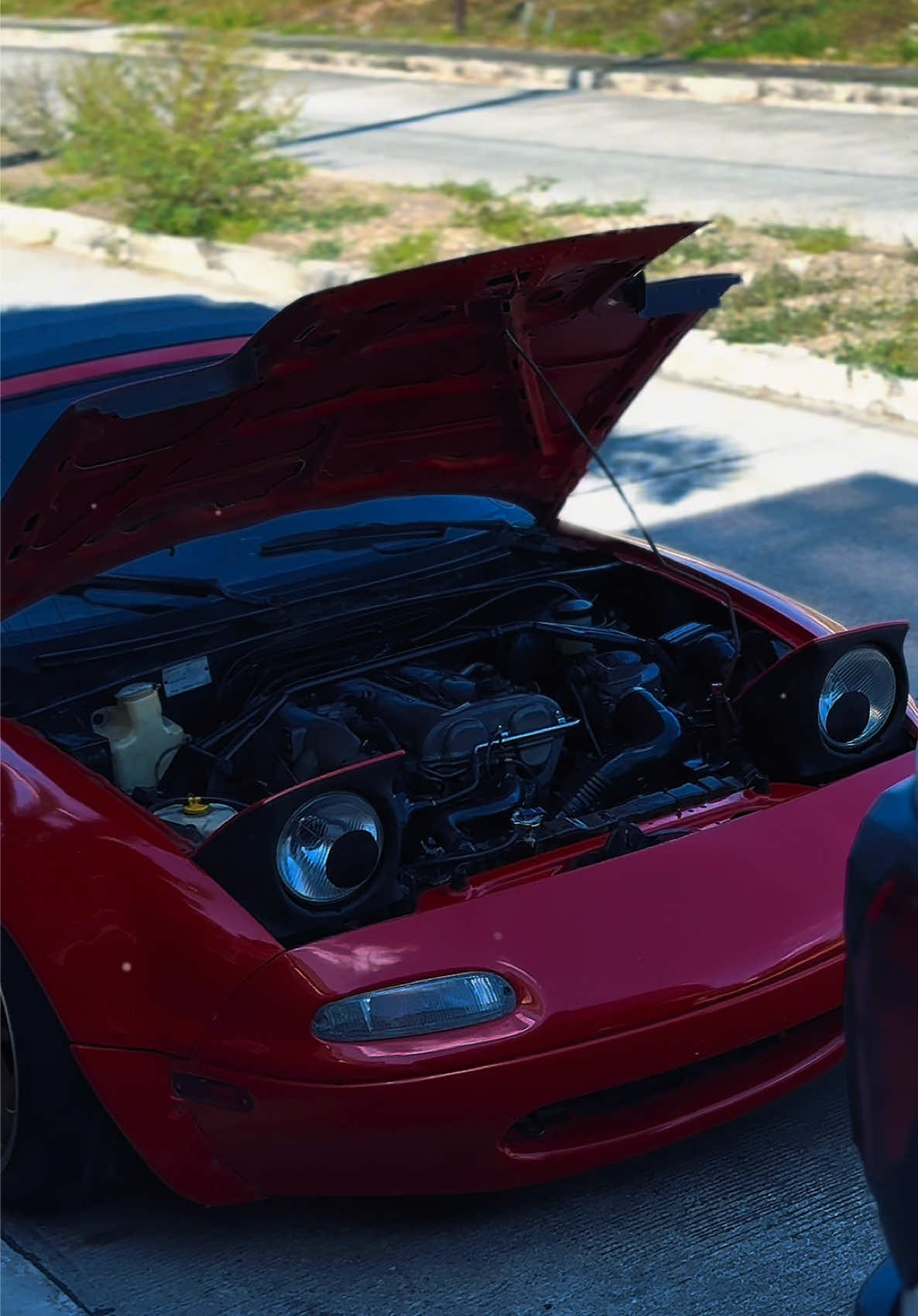 @Static_Vince