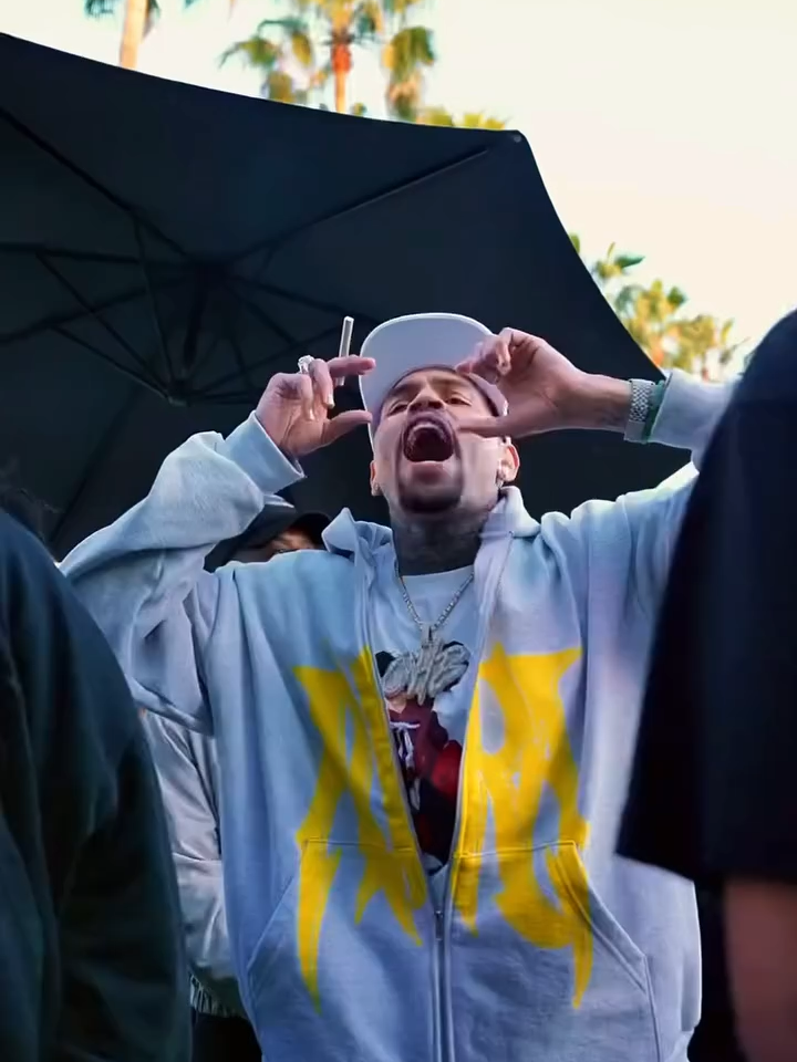 @chrisbreezybrown