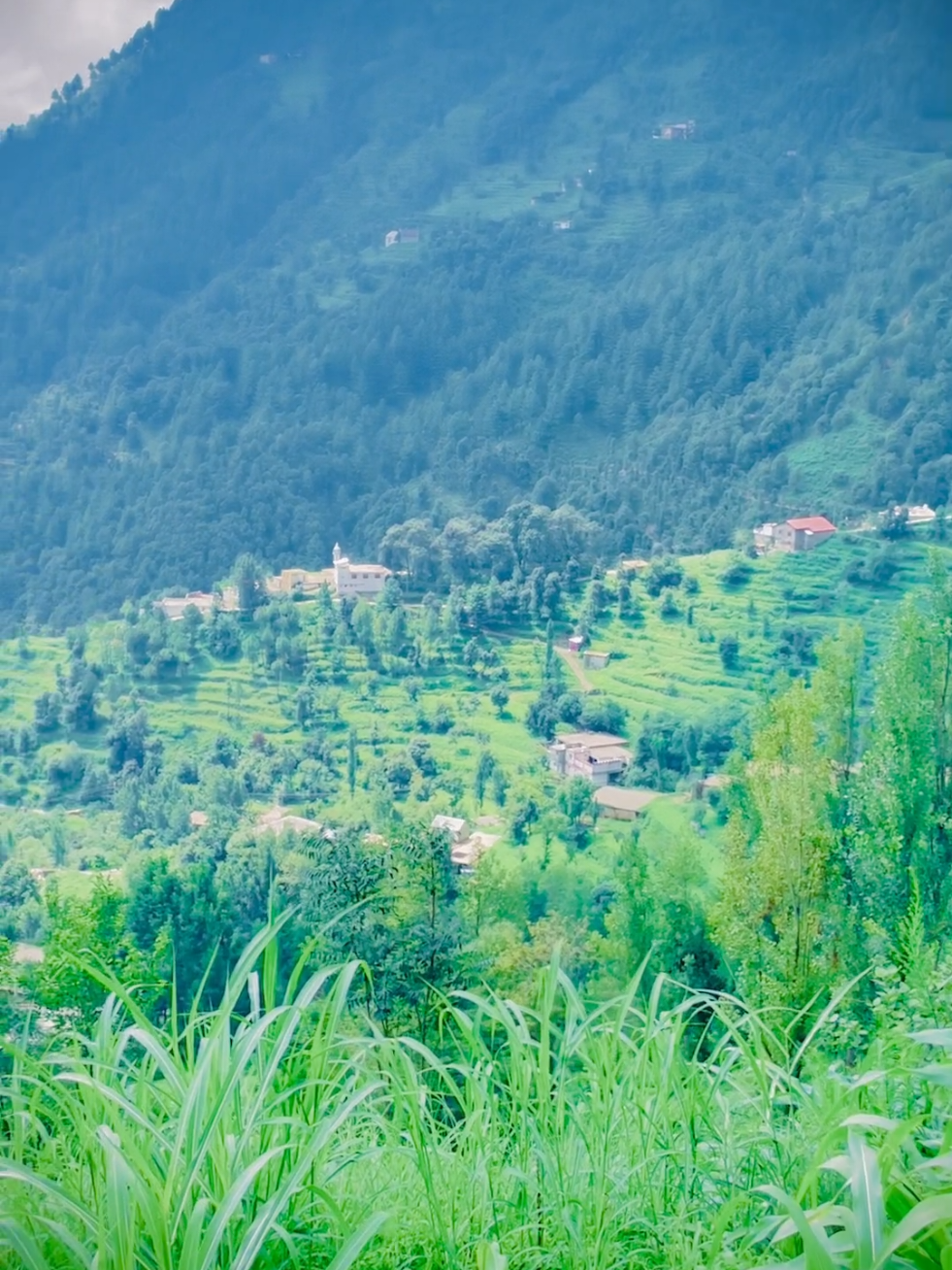@🌲غر سنے 🌲