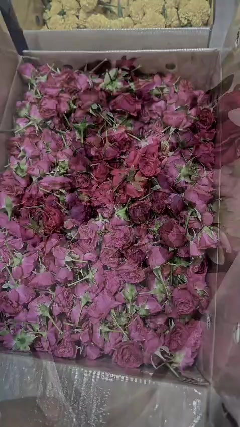 @vsflowershopsg