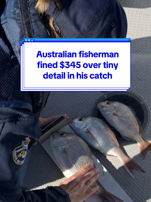 @Yahoo Australia