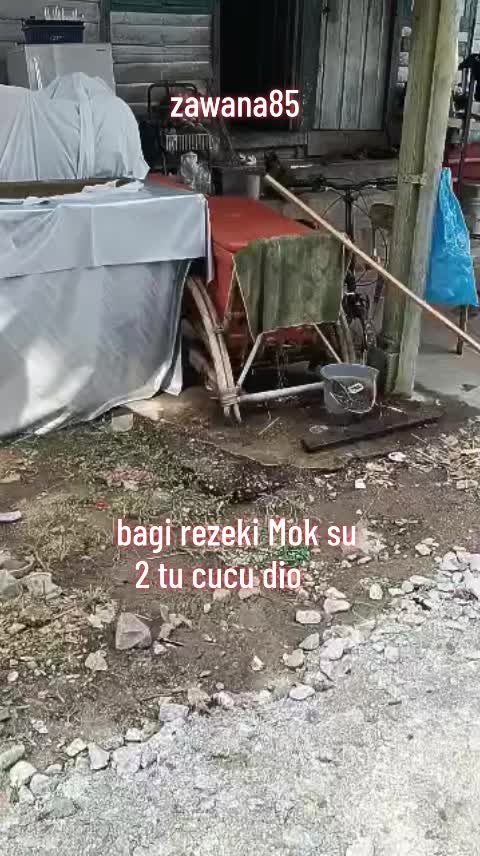 @zawana85