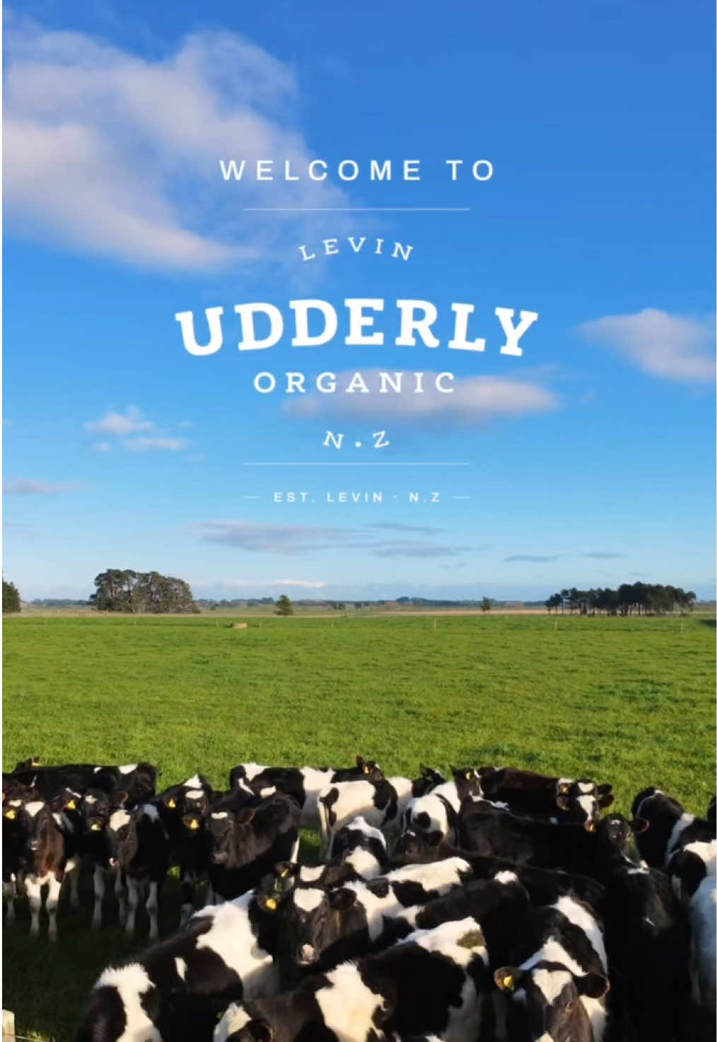 @Udderly