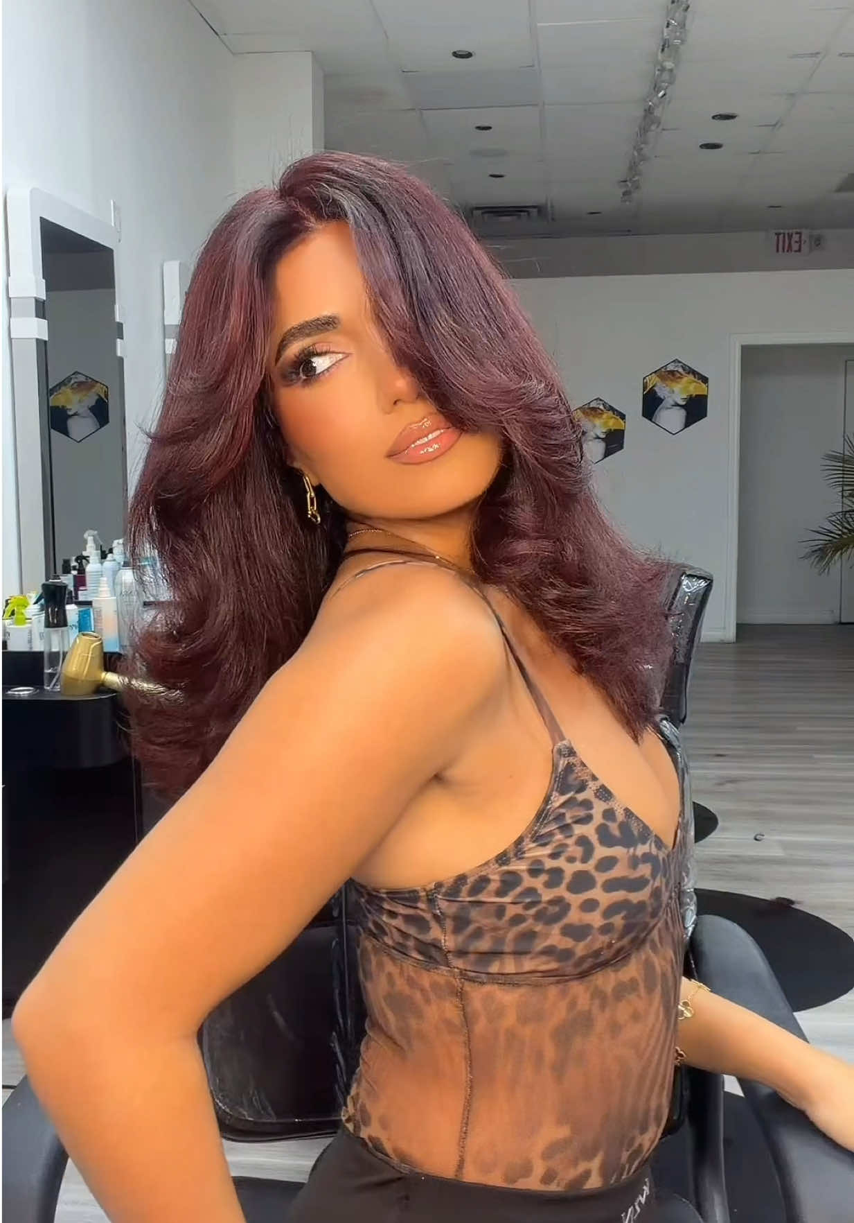 @romitavlz