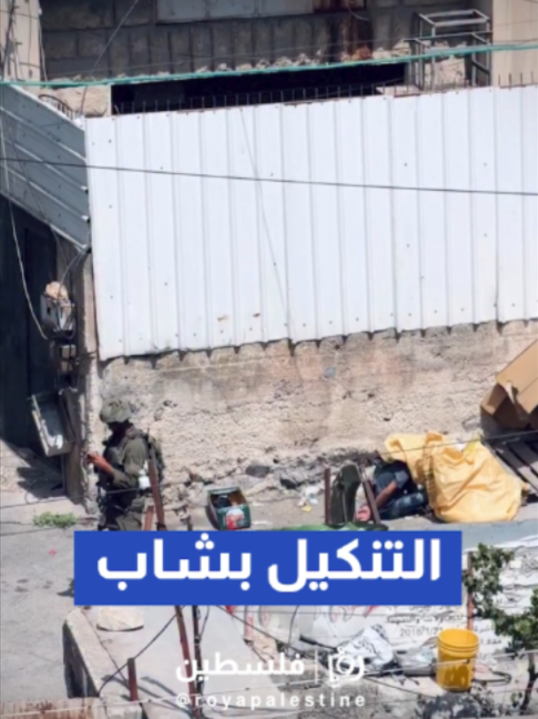 @Royapalestine رؤيا فلسطين