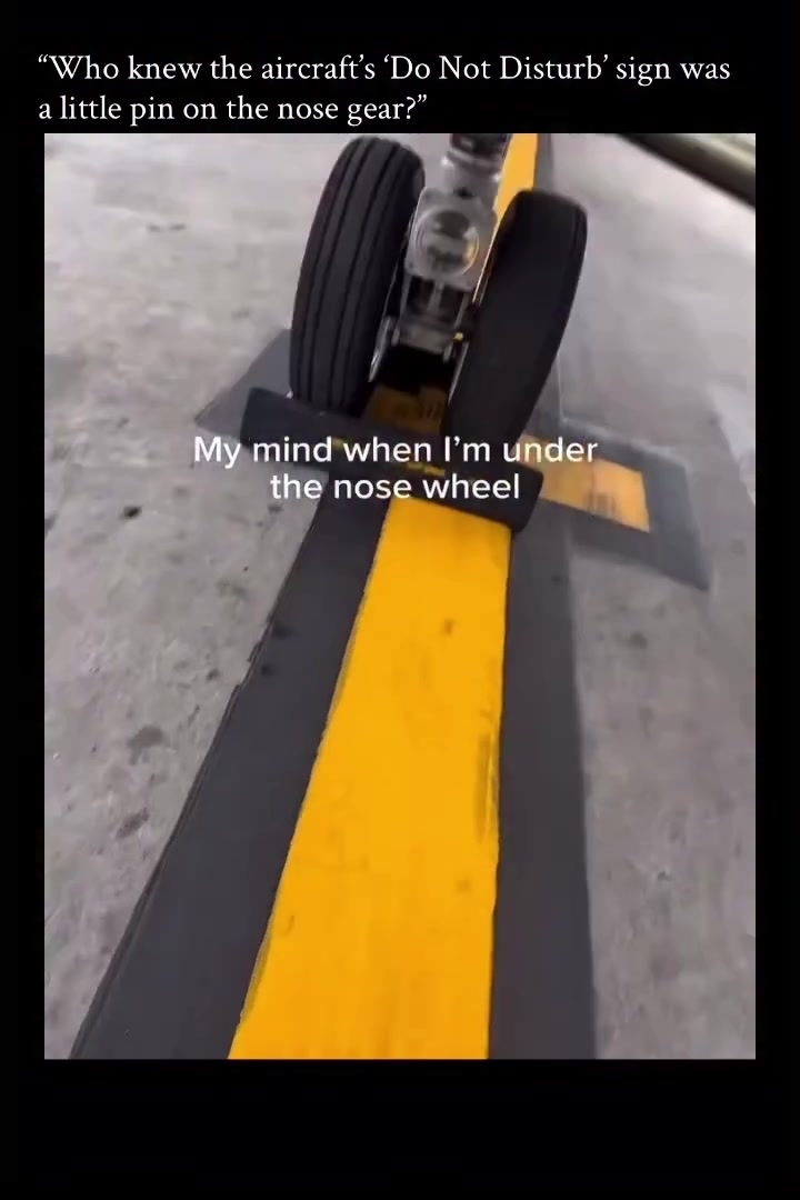 @caanpilot