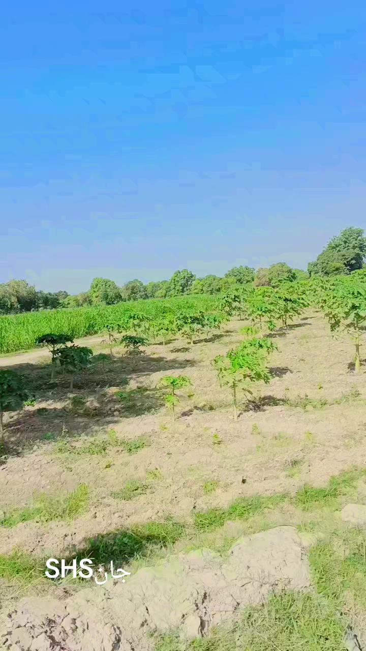 @harjikumar159
