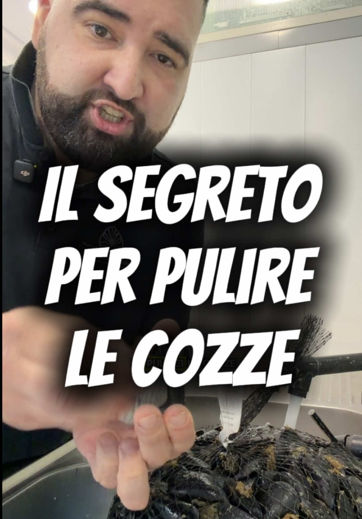 @laperladelmare