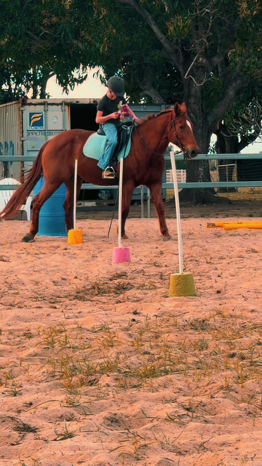 @Stable Connection