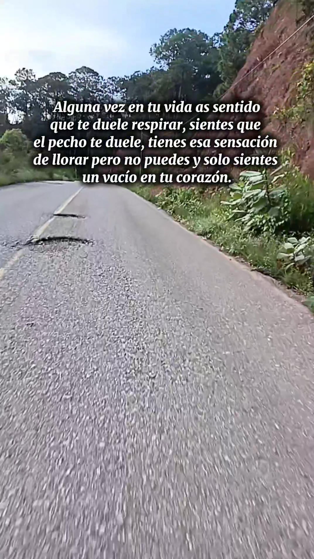 @Estrellita