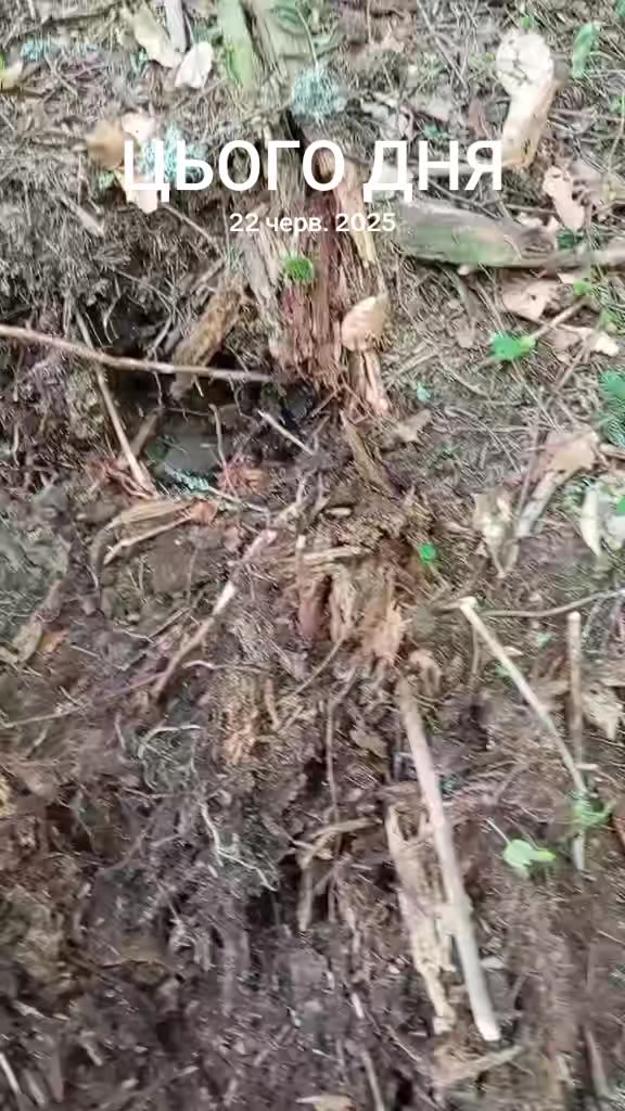 @Маківка-Броди