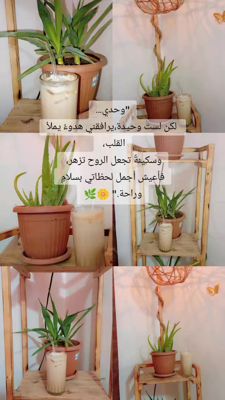 @『̨نۨــﯜڔ ּا̍ﻻ̍ۙڛۜــﻼ̍ۙمۘ💗𐙚ֹׅ