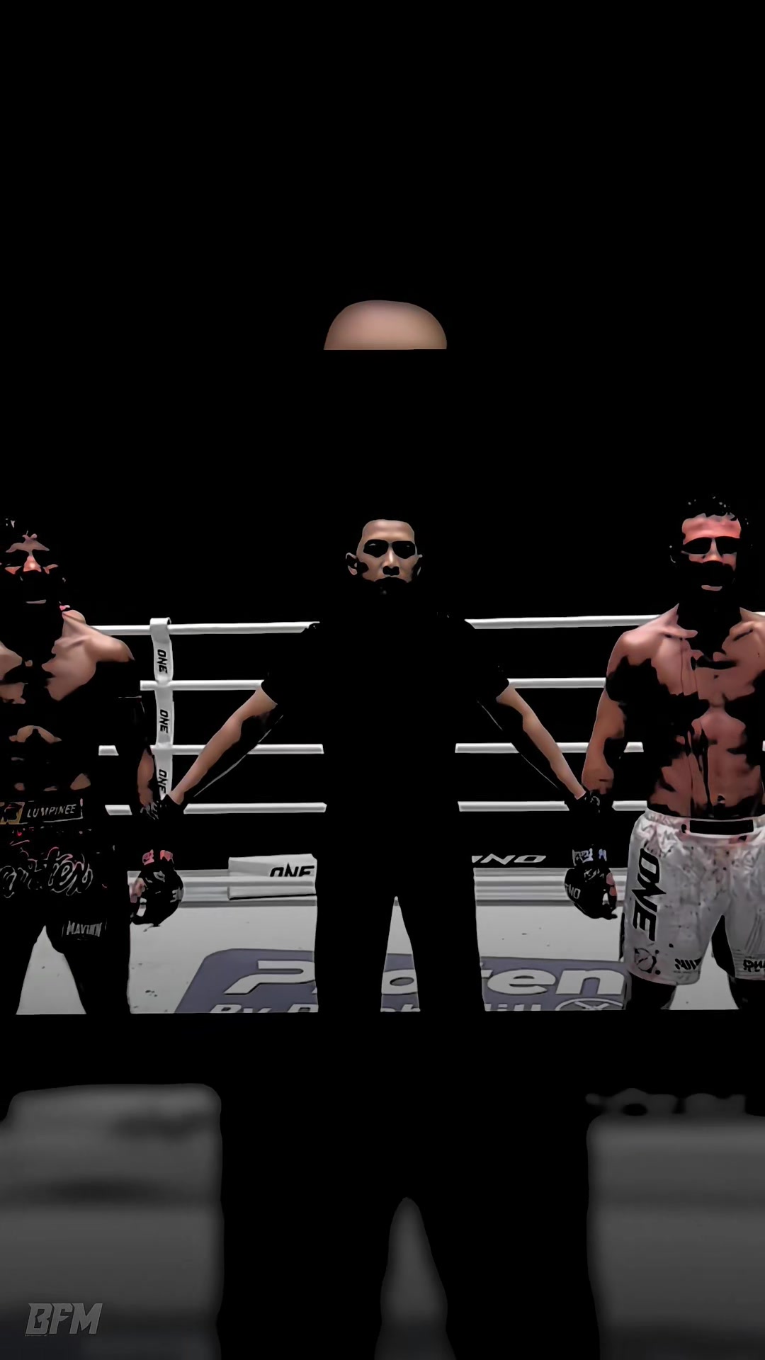 @Borak Fight My