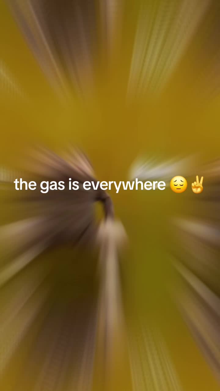 @trotskybubu