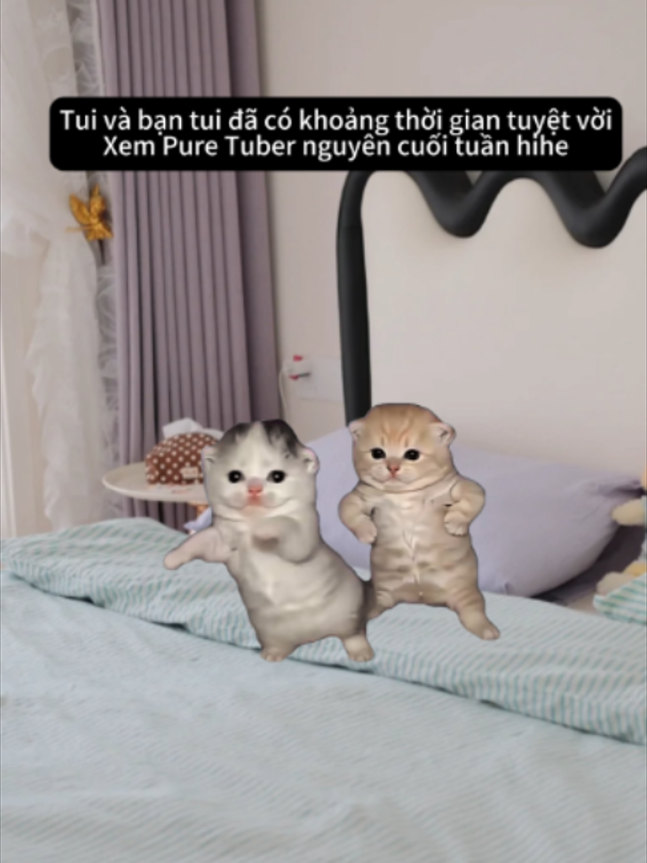 @Pure Tuber Vietnam