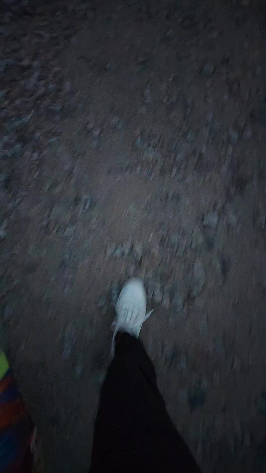 @ЭЛЕЧКА🤘👌ЖЕНЩИНА ВОИН