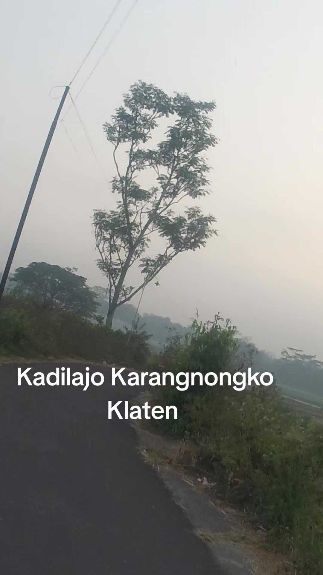 @adi
