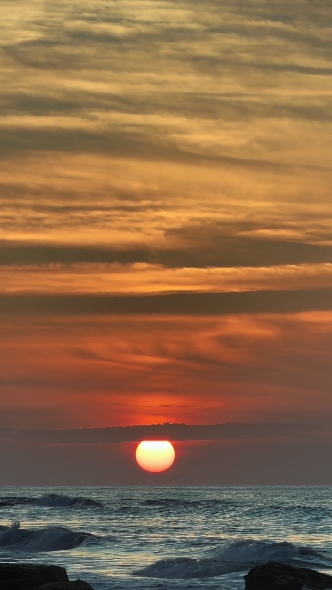 @𝐌𝓢-𝟕✪