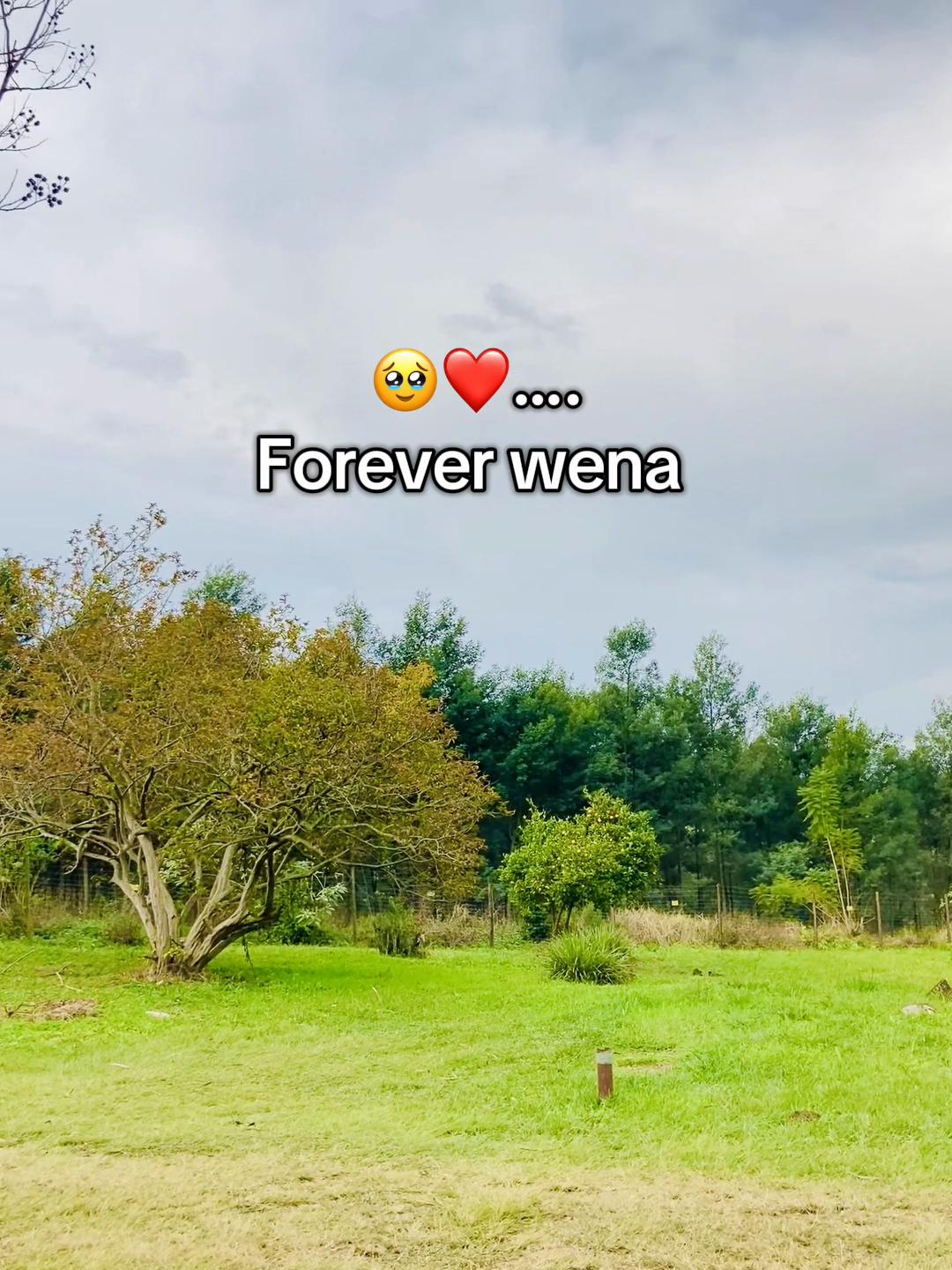 @️icala_lomzali