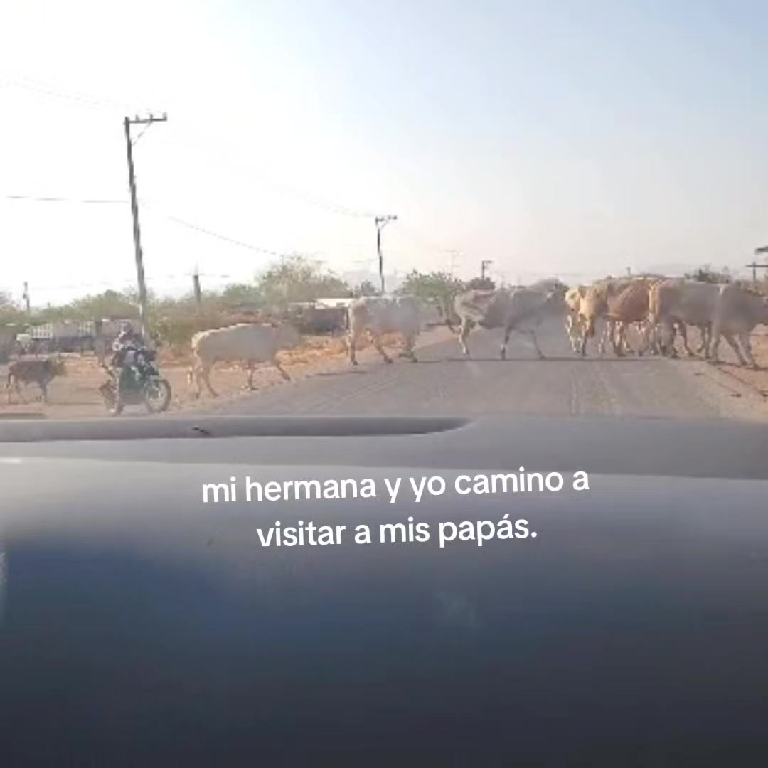 @️Yarethy🌸