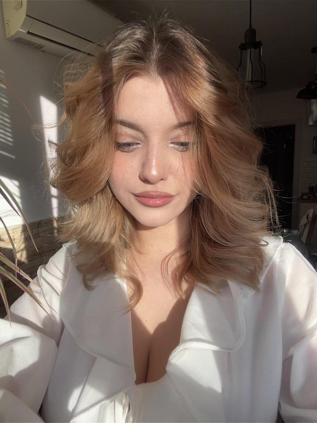 @koshka