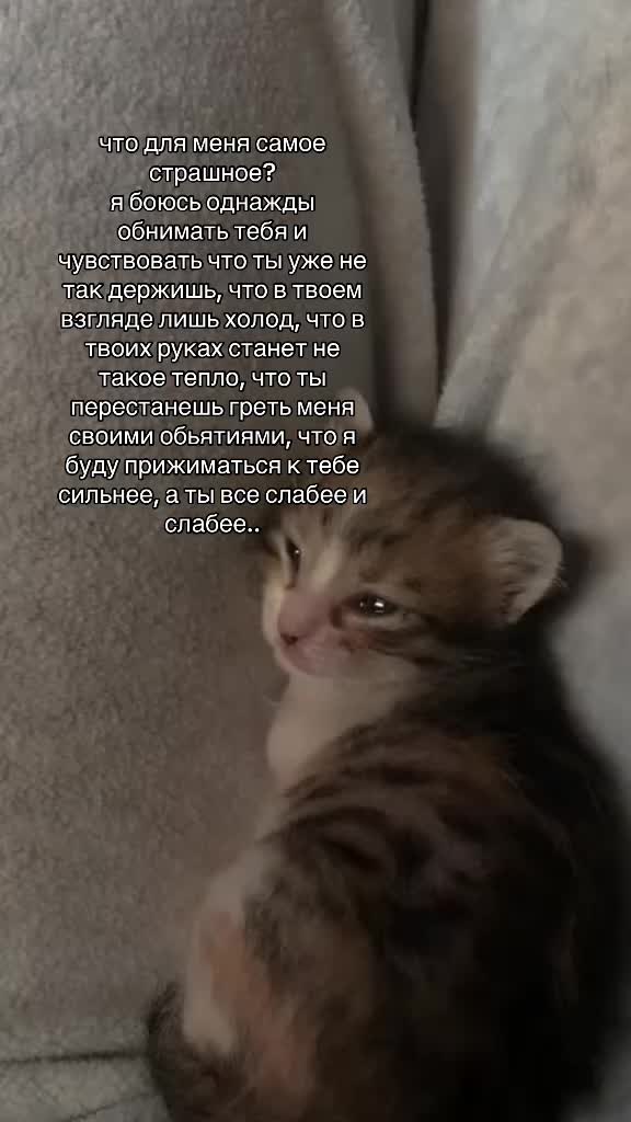 @pol.ynx