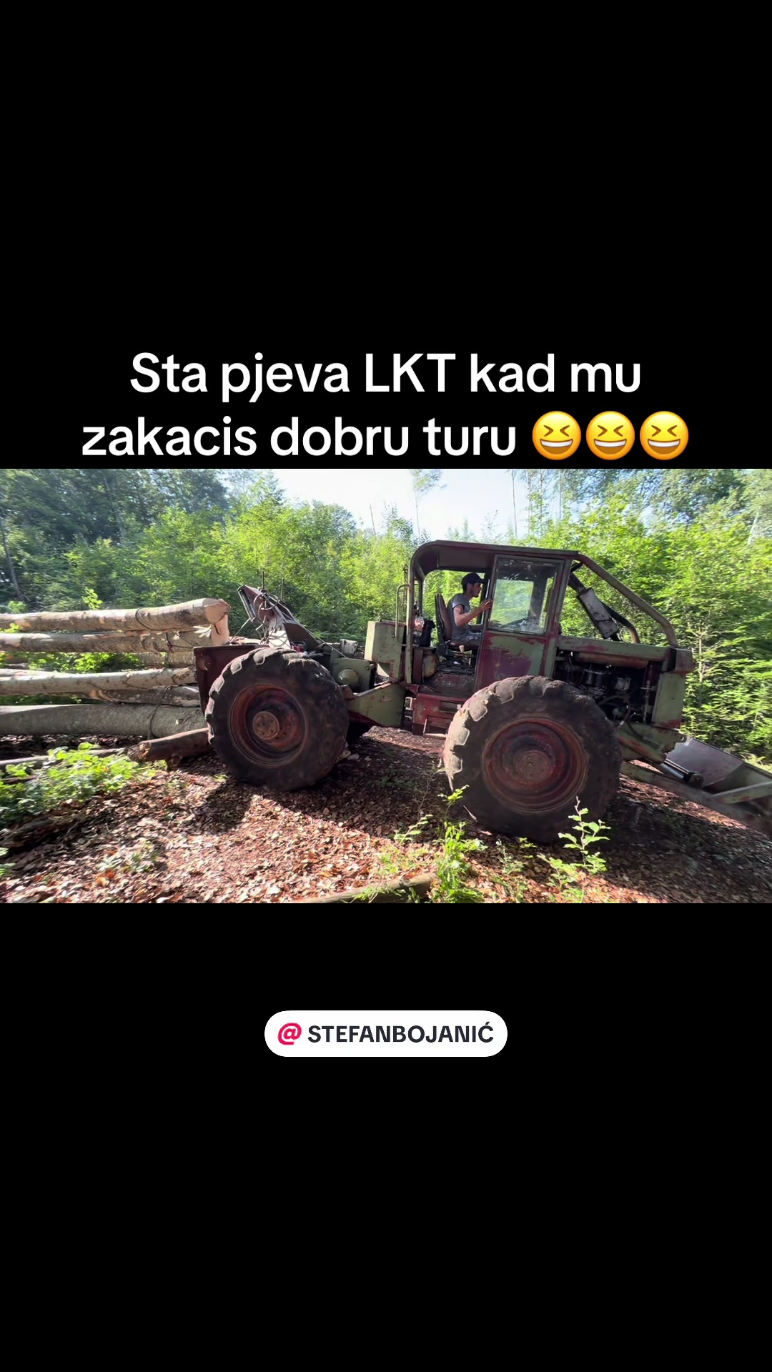 @🌲V.K🌲