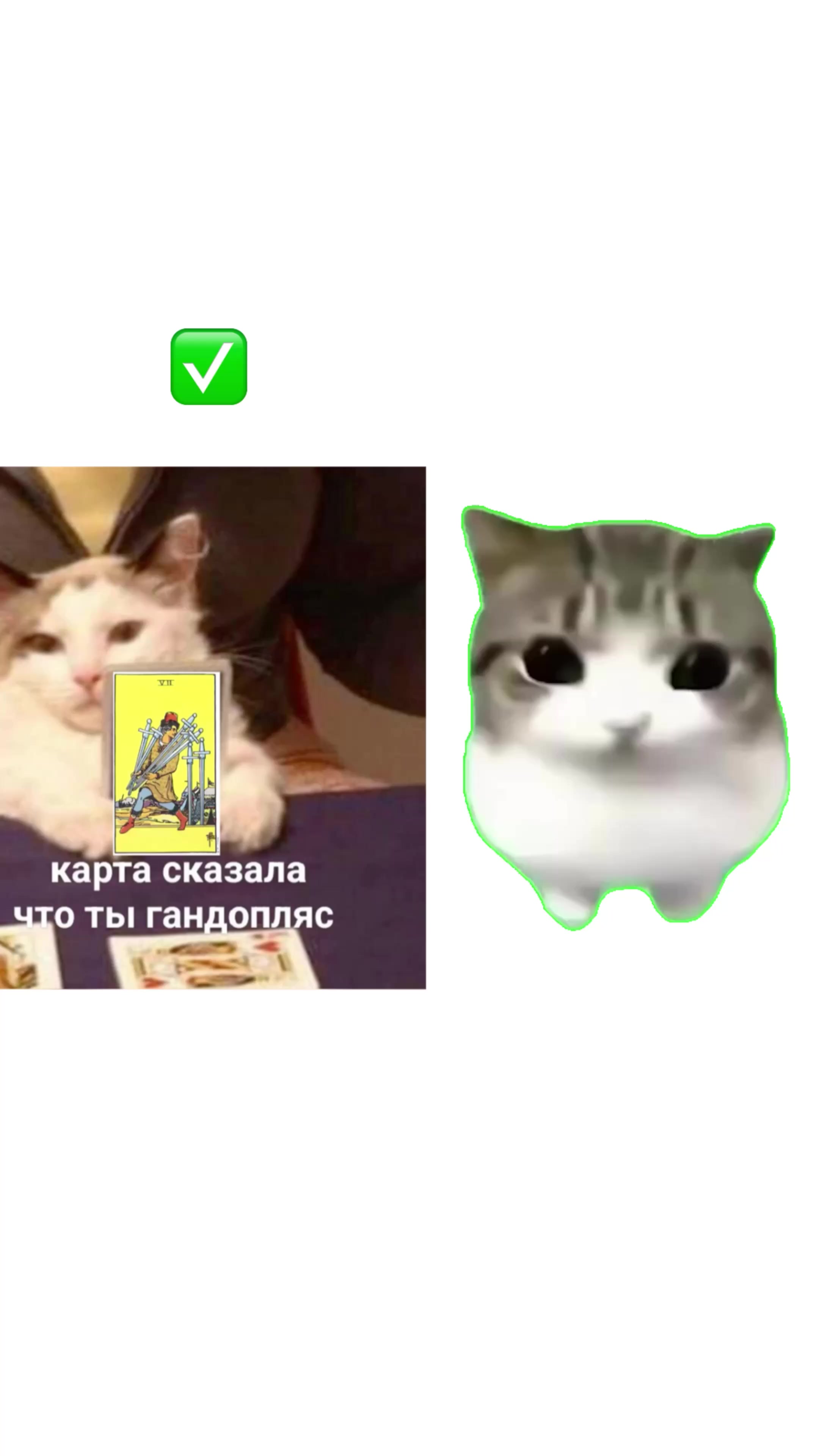 @Та сама пані🪽