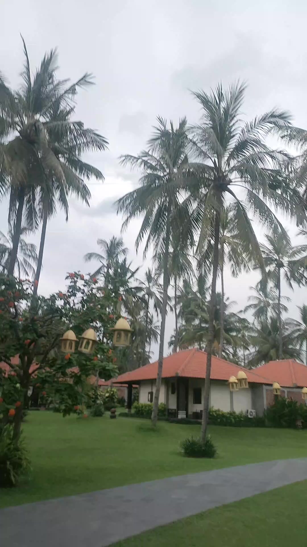 @Eka Akewa